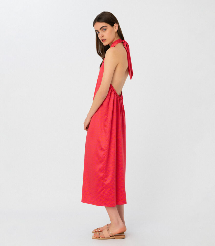 Giselle-Print Halterneck Midi Dress / Εμπριμέ Μίντι Φόρεμα Με Δέσιμο Στο Λαιμό - Elizabeth LaGre